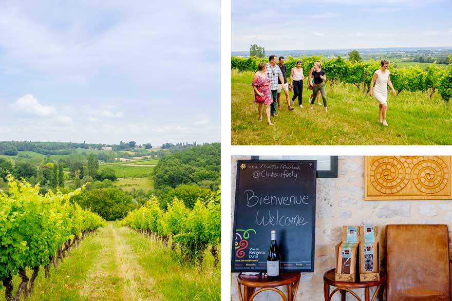 Visite dégustation au Château Feely à Saussignac